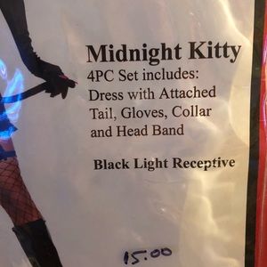 Midnight sexy kitty